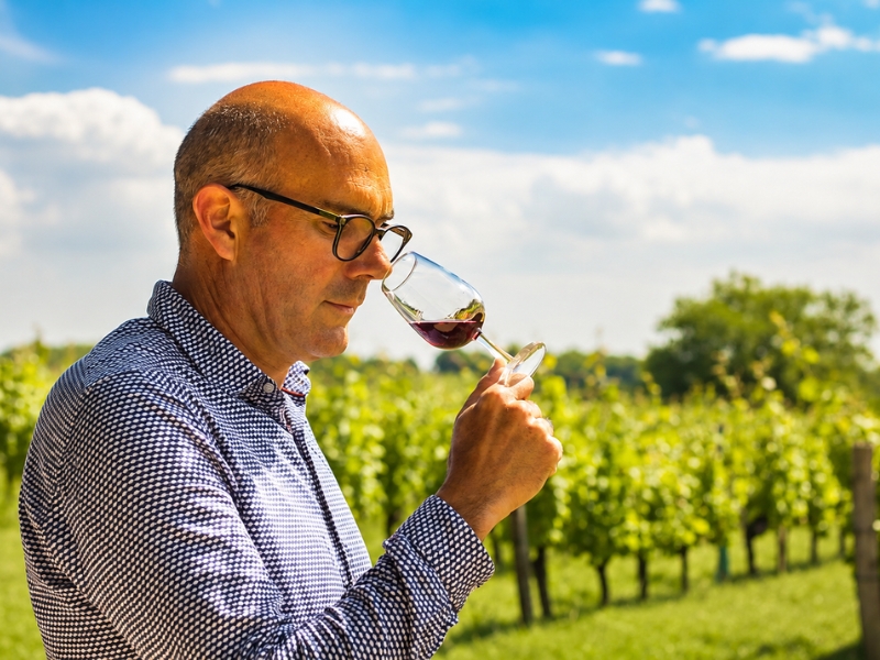 Les Landes de Gascogne