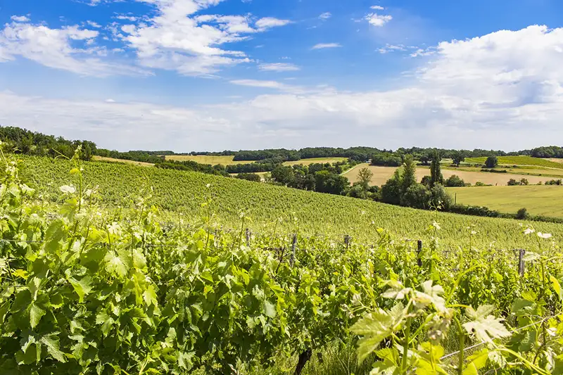Campagne